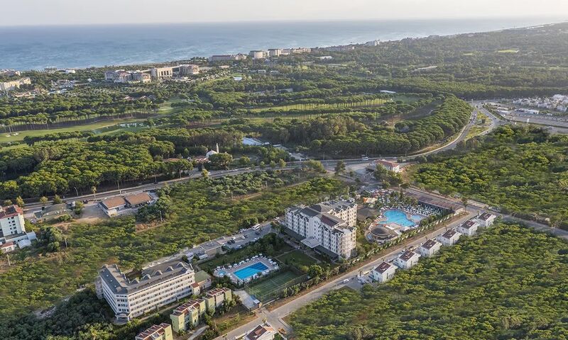 Amon Hotels